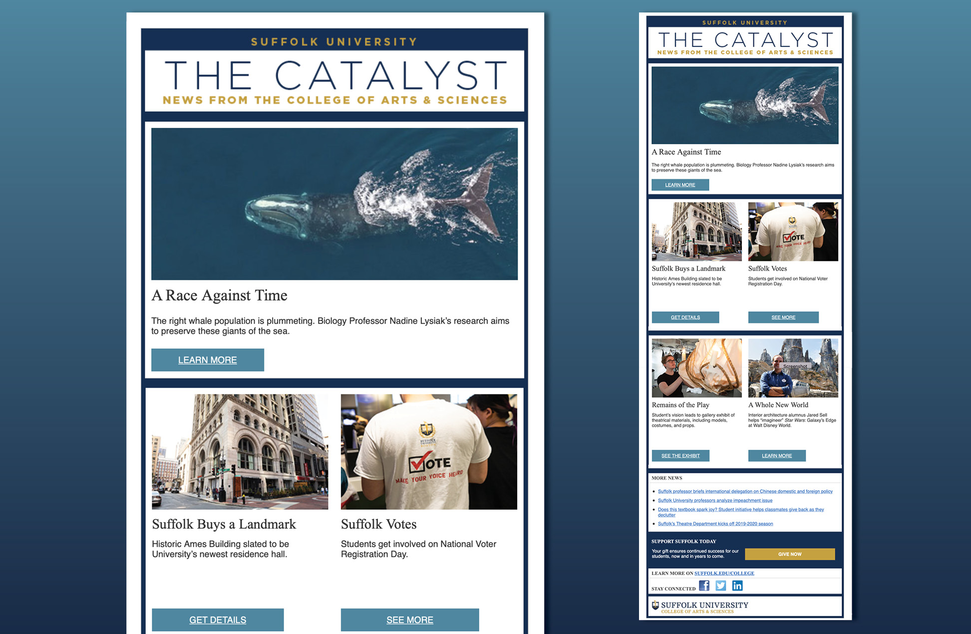 The Catalyst Email Newsletter screen shots