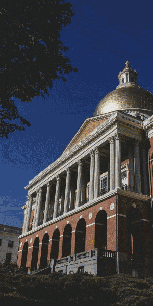 animated ad targeting graduate students