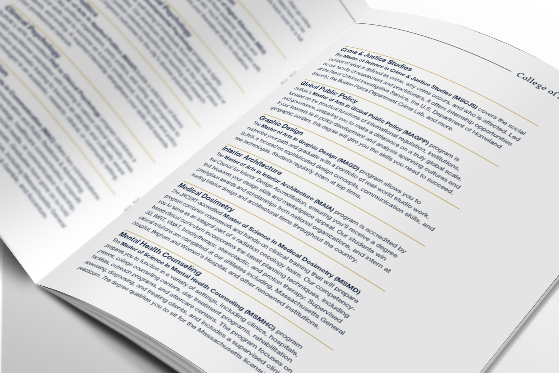 close up spread of graduate degree details