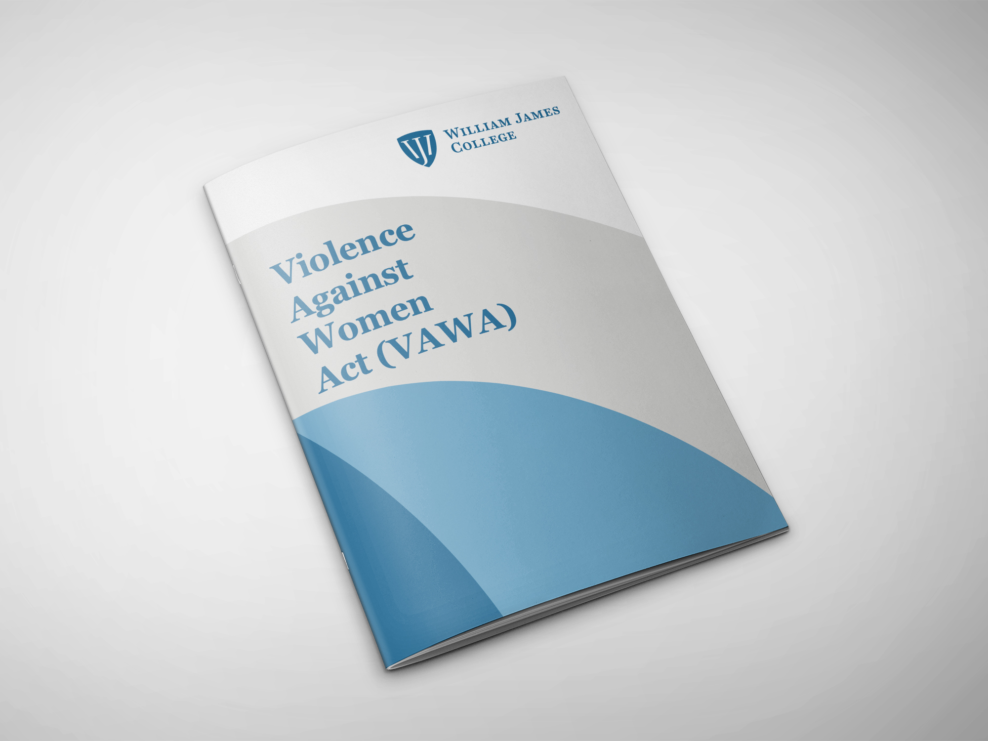 cover of the brochure about violence against women
